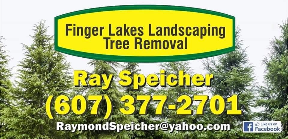 Finger Lakes Landscaping Tree Removal