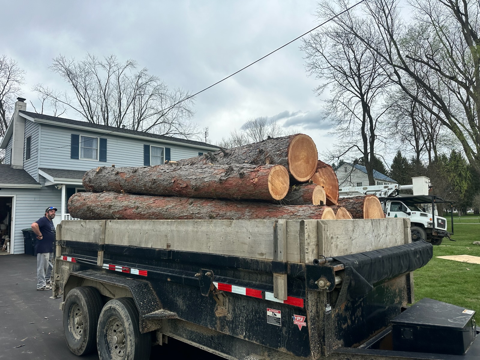 Finger Lakes Landscaping Tree Removal (19)