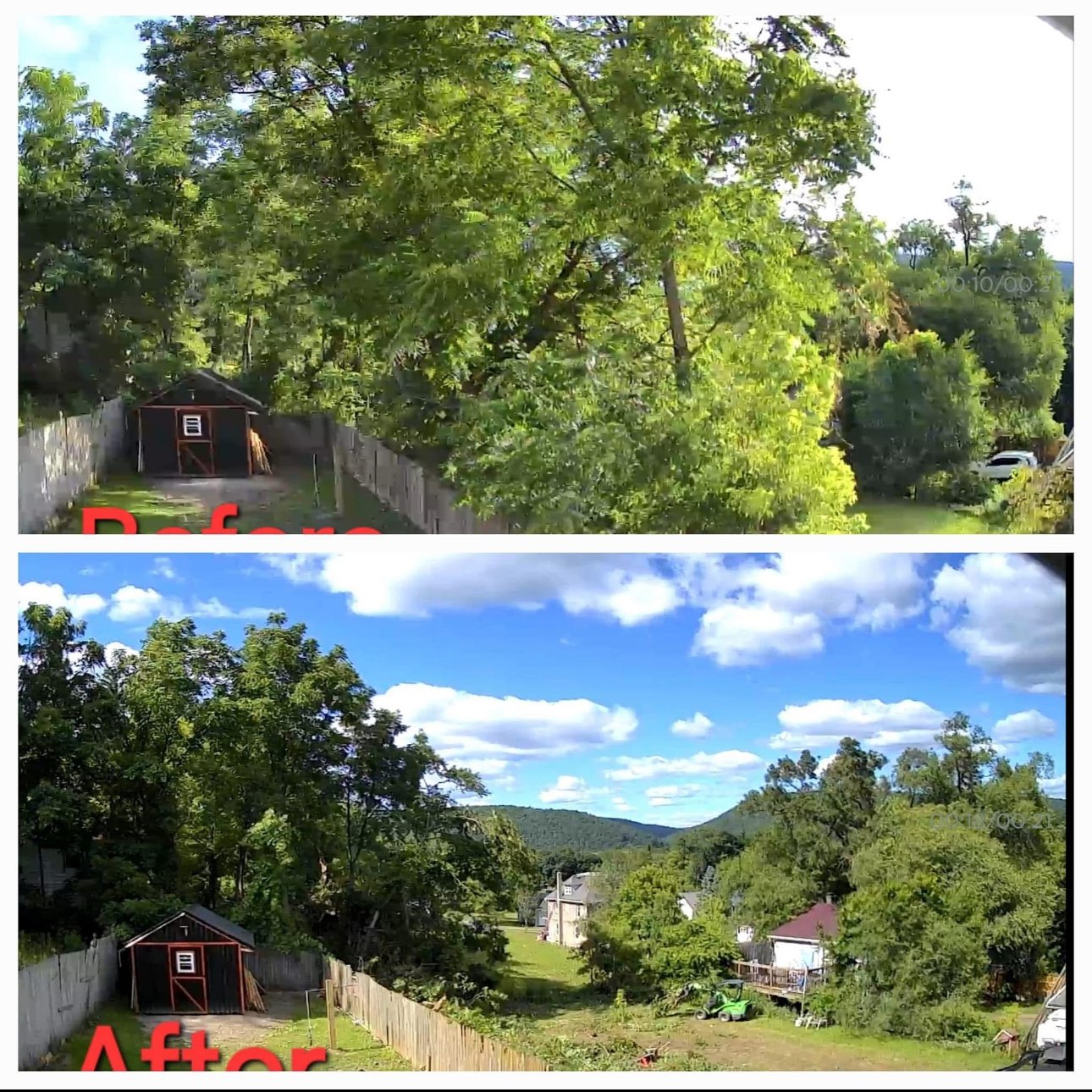 Finger Lakes Landscaping Tree Removal (21)